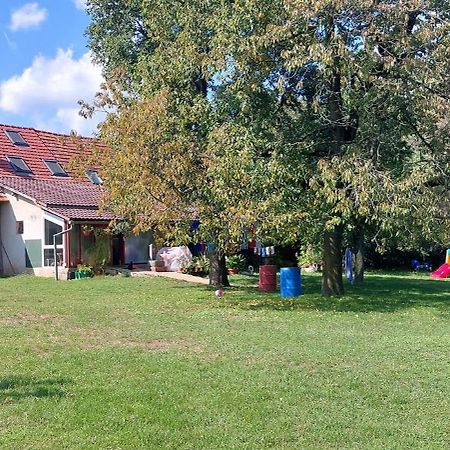 Mladinski Center Prlekije - Hostel Ljutomer Exterior photo